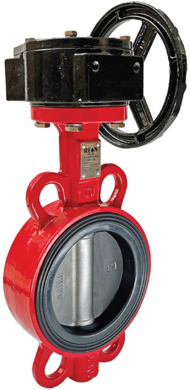Затвор REON RSV79 AISI316 DN50 PN16