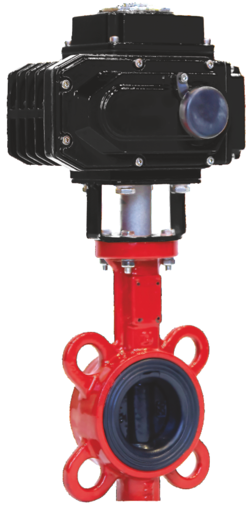 Затвор REON RSV81RED DN80 220 В